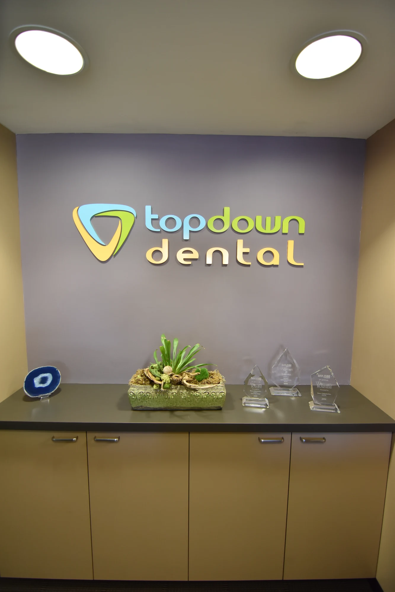 Top Down Dental wall logo above interior cabinetry